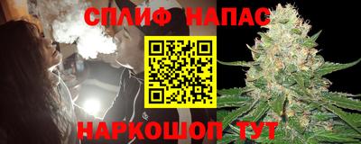индика Краснознаменск