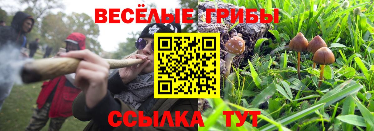 Галлюциногенные грибы Cubensis Волхов