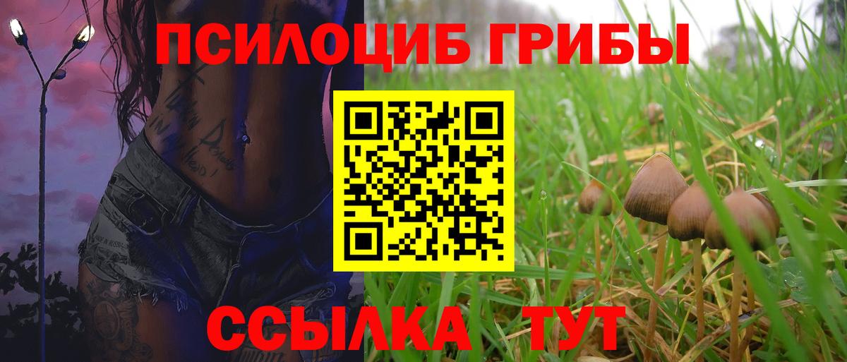 Галлюциногенные грибы MAGIC MUSHROOMS  Вход с VPN  Волхов 
